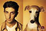 Looks Like Dog
