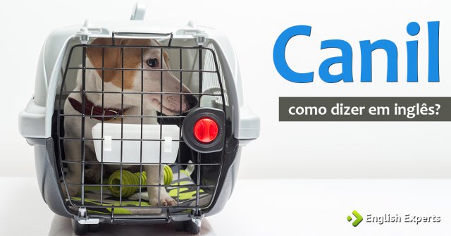 Como dizer "canil" em inglês