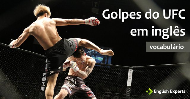 Golpes do UFC em inglês
